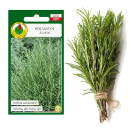 rozmaryn-przyprawa-ziola-nasiona-ziol-bez-gmo