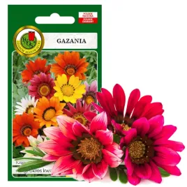 gazania-wielokolorowa-dlugo-kwitnie-nasiona-08g