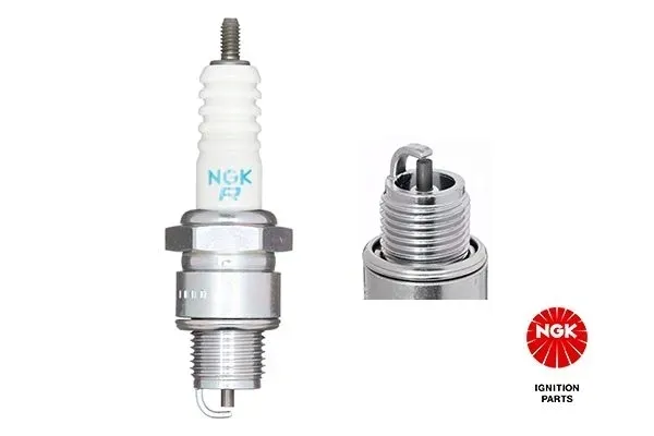 swieca-ngk-5539