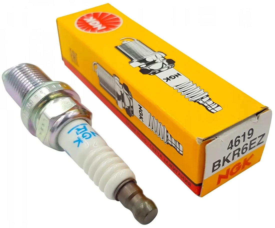 swieca-ngk-4619