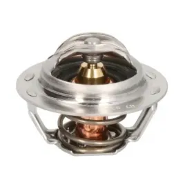 termostat-citroen-evasion-94-02