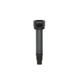 cewka-zaplonowa-delphi-gn10519-12b1
