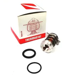 termostat-fiat-500-07-