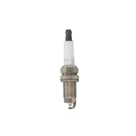 swieca-champion-oe260