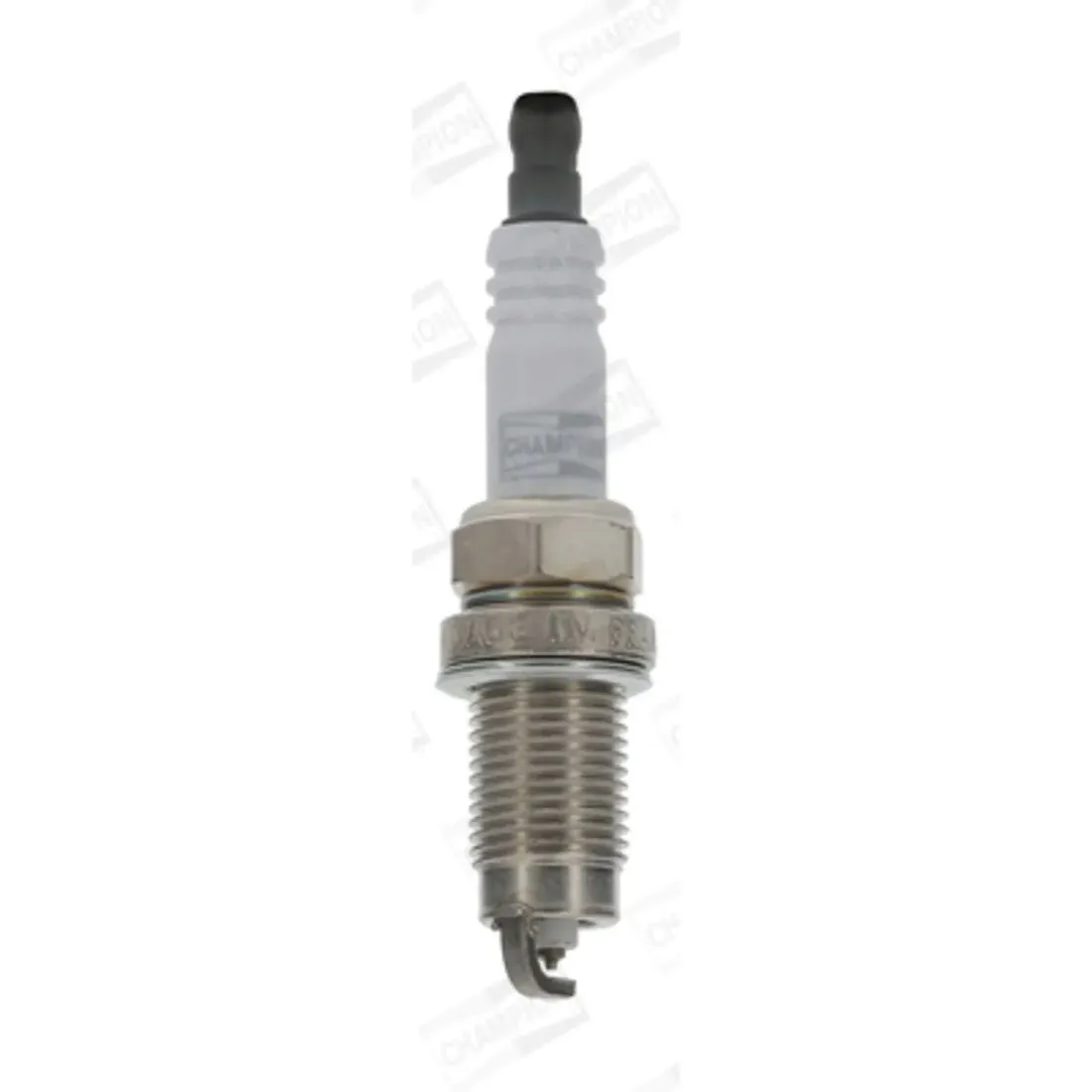 swieca-champion-oe260