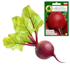 burak-cwiklowy-czerwona-kula-2-bardzo-smaczny-zbior-lato-jesien-nasiona-10g