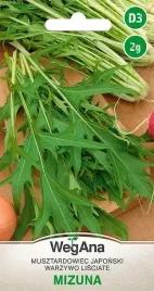 mizuna-musztardowiec-japonski-nasiona-2g-wegana