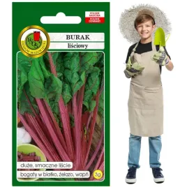 burak-lisciowy-rhubarb-chard-soczysty-smaczny-3g