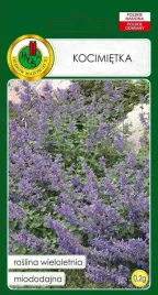 kocimietka-niebieska-0-2-g-pnos-nasiona