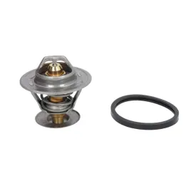 termostat-laguna-i-safrane-ii-95-01-2-0-2-5
