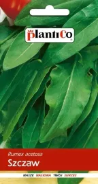 szczaw-lyonski-odporny-na-mrozy-wieloletni-nasiona-plantico