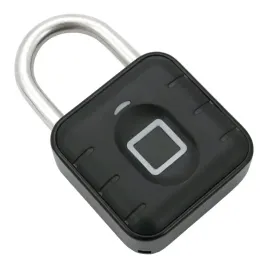 klodka-elektroniczna-45-mm-zamek-blokada-na-odcisk-palca-wodoodporna