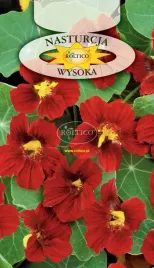 nasturcja-czerwona-wysoka-roltico-kwiatow-roslin-nasiona