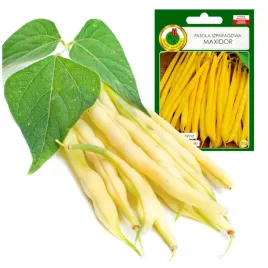 fasola-maxidor-szparagowa-bezwloknista-wczesna-30g