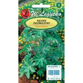 racznik-zielonolistny-6nas-legutko-nasiona