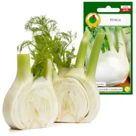 fenkul-romanesco-koper-wloski-bogaty-w-skladniki-1g