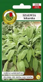 pnos-szalwia-lekarska-1g-nasiona