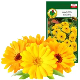 nagietek-bull-s-eye-jednoroczy-idealny-na-kwiaty-ciete-0-5g