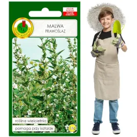 malwa-prawoslaz-wieloletnia-medycyna-ludowa