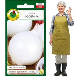 cebula-agostana-srednio-wczesna-delikatna-w-smaku-1g
