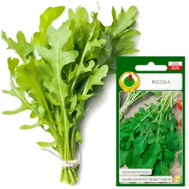 rucola-eruca-sativa-ziola-jednoroczne-bogate-w-zelazo-wapn