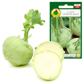 kalarepa-delikates-biala-srednio-wczesna-polecana-na-zbior-lato-jesien