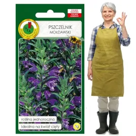 pszczelnik-moldawski-jednoroczny-idealny-na-kwiat-ciety-1g