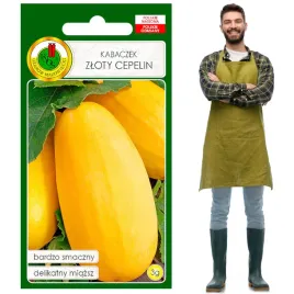 dynia-zwyczajna-kabaczek-zloty-cepelin-3g