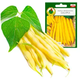 fasola-szparagowa-karlowa-galopka-zolta-30g