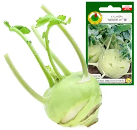 kalarepa-wener-witte-wczesna-dl-przechowywanie-2g
