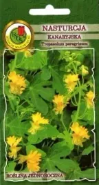 nasturcja-kanaryjska-2g-zolta-nasiona-pnos