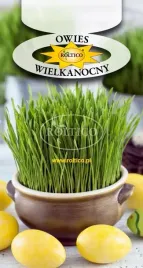 owies-wielkanocny-20g-roltico-nasiona