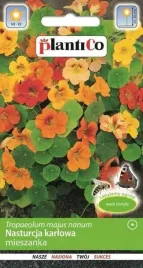 nasturcja-karlowa-mieszanka-mix-nasiona-plantico