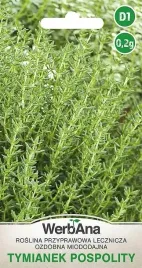 tymianek-wieloletni-nasiona-ziola-wegana
