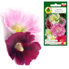 malwa-jednoroczna-mieszanka-duzych-kwatow-1g