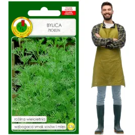 bylica-piolun-wzbogaca-smak-potraw-na-trawienie