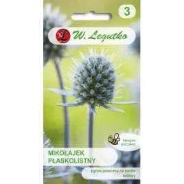 mikolajek-plaskolistny-03g-legutko-nasiona