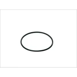 uszczelka-termostatu-dt-spare-parts-2-15062