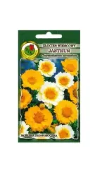 zlocien-wiencowy-jastrun-15-g-pnos-nasiona