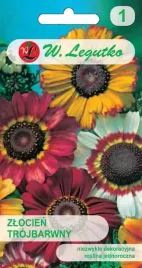 zlocien-trojbarwny-mieszanka-1g-legutko-nasiona