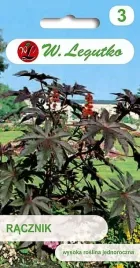 racznik-pospolity-odstrasza-krety-antykret-legutko-nasiona