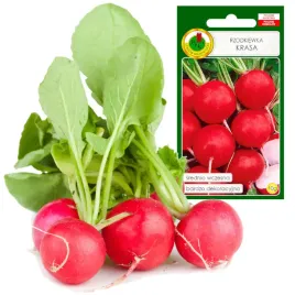 rzodkiewka-krasa-plenna-srednio-wczesna-lagodna-10g