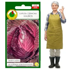 kapusta-glowiasta-czerwona-kalibos-stozkowa-1g