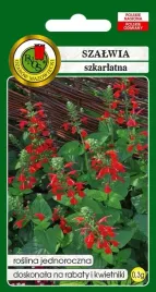 nasiona-szalwia-szkarlatna-03g-pnos-jednoroczna-nasiona