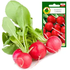nasiona-rzodkiewka-carmen-plenna-nie-parcieje-delikatna-caloroczna