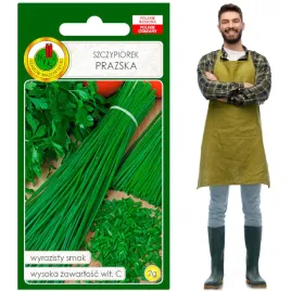 szczypiorek-prazska-duzo-wit-c-bogaty-smak