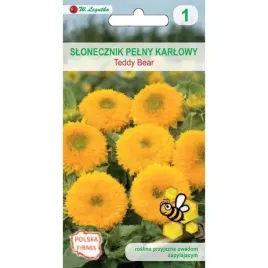 slonecznik-ozdobny-niski-pelny-teddy-bear-zolty-2g-legutko-nasiona