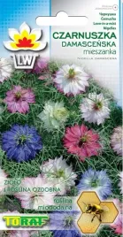 czarnuszka-damascenska-kwiatow-2g-toraf-nasiona