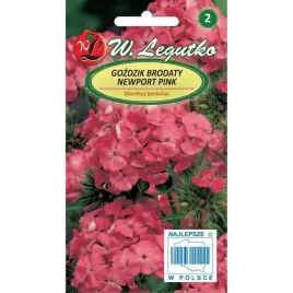 gozdzik-brodaty-newport-pink-rozowy-05g-legutko-nasiona