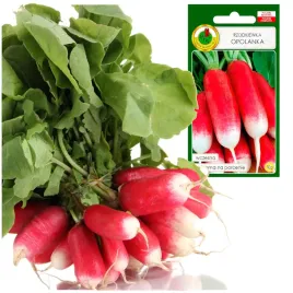 rzodkiewka-opolanka-plenna-wczesna-lagodna-10g